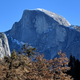 Illustration for article titled Toby in Yosemite